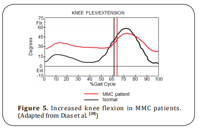 Figure 5.  